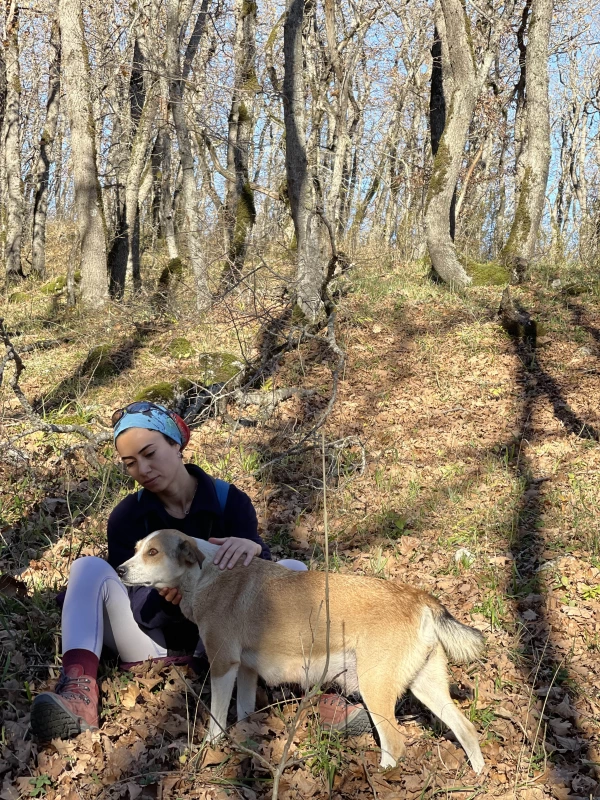 Çıraqqala Hiking Turu: Tarixin və Təbiətin Ən Yüksək Zirvəsi