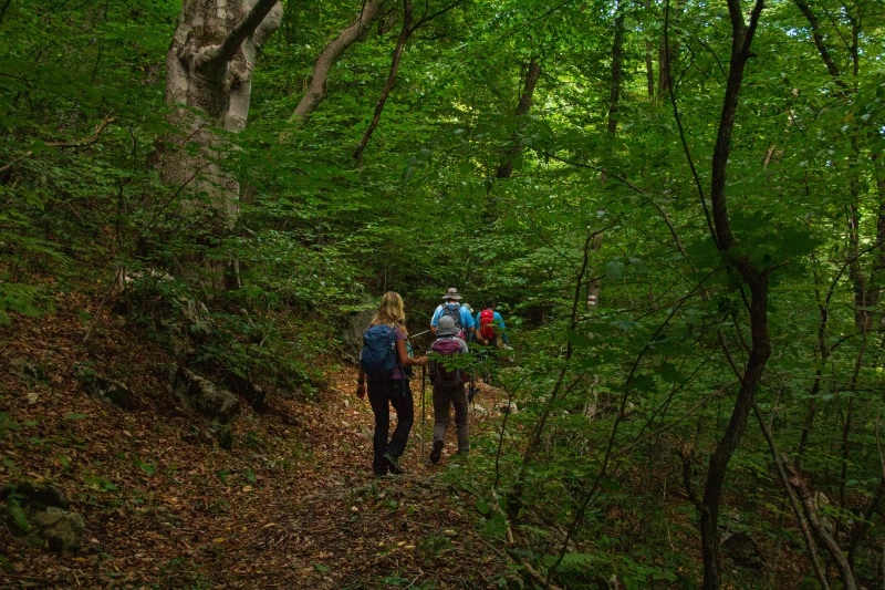 Quba Dağ Kəndləri Trekking Turu: Əlikdən Qrızdəhnəyə Sərgüzəştli Səyahət