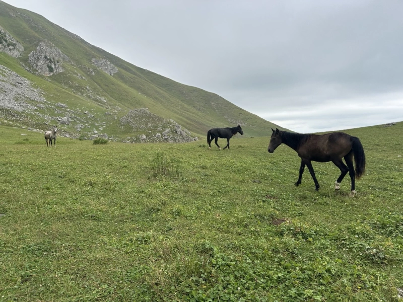 Transcaucasian Trail – Azerbaijan Trekking Tour