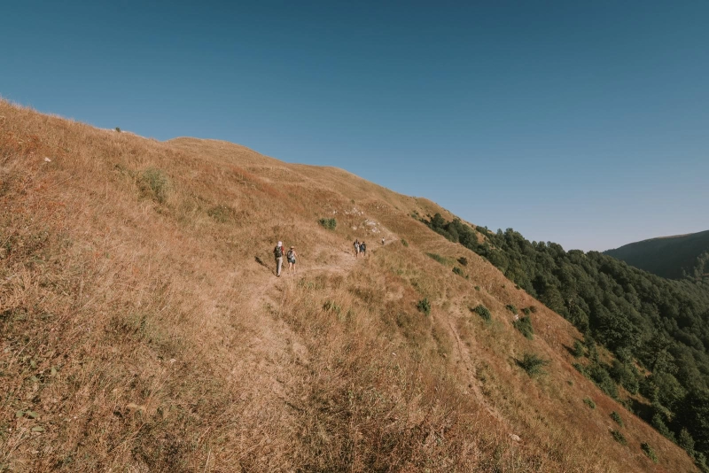 Trans-Caucasian Trail (TCT): Sheki – Gakh trekking tour