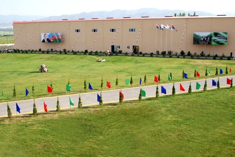 Discover Azerbaijan: Wine, Food & Cultural JourneyDiscover Azerbaijan: Wine, Food & Cultural JourneyDiscover Azerbaijan: Wine, Food & Cultural Journey