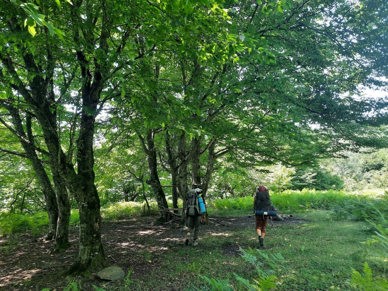Trans-Caucasian Trail (TCT): Sheki – Gakh trekking tourTrans-Caucasian Trail (TCT): Sheki – Gakh trekking tourTrans-Caucasian Trail (TCT): Sheki – Gakh trekking tour