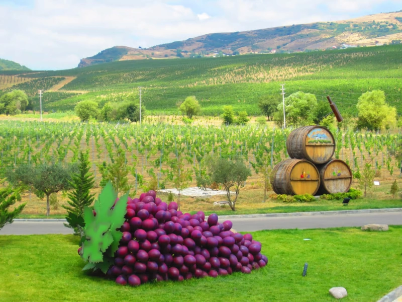 Discover Azerbaijan: Wine, Food & Cultural Journey