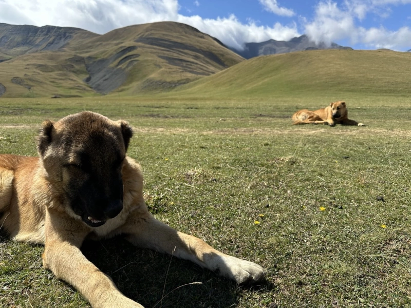 Bazarduzu, Laza and Khinalig: An Adventure of Mountains and CultureBazarduzu, Laza and Khinalig: An Adventure of Mountains and Culture