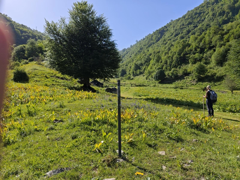 Trans-Caucasian Trail (TCT): Sheki – Gakh trekking tour