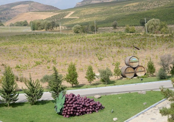 Discover Azerbaijan: Wine, Food & Cultural JourneyDiscover Azerbaijan: Wine, Food & Cultural Journey