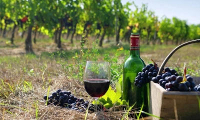 Discover Azerbaijan: Wine, Food & Cultural Journey