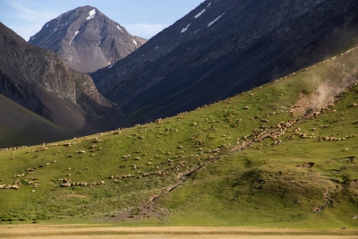 Bloq / Tarixi yerlər / Aqro turizm