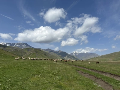 Bazardüzü Dağı Haqqında 14 Maraqlı Fakt