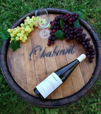 Grape Harvest & Wine Festival – Ismayilli
