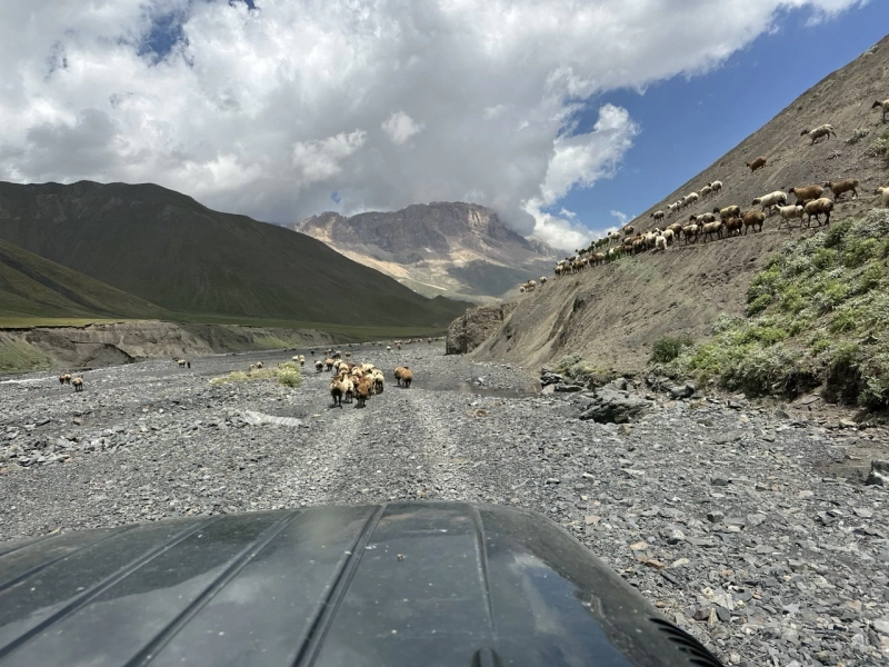 Bazardüzü Zirvəsi və Bakı  Mədəni Turu