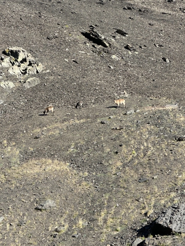 The 3 Highest: Bazardüzü, Shahdag and Tufandag Expedition