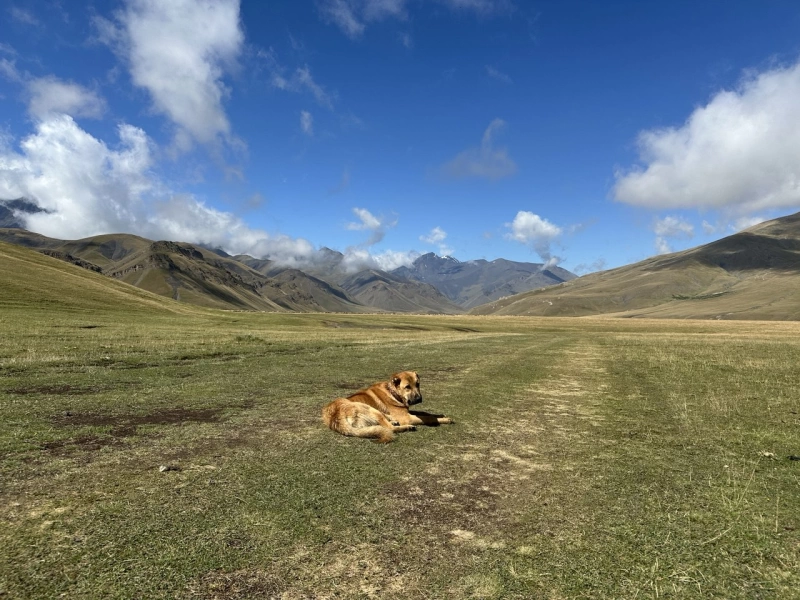 The 3 Highest: Bazardüzü, Shahdag and Tufandag Expedition