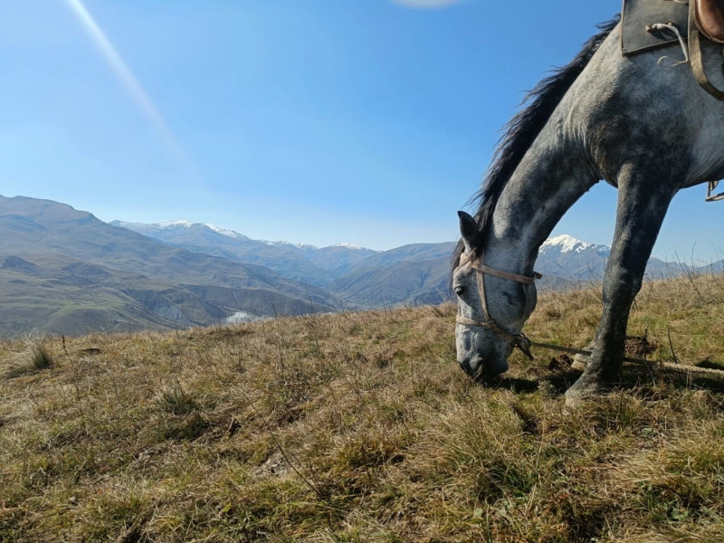 Azərbaycan: Qafqazın Şərqində Atlı Tur