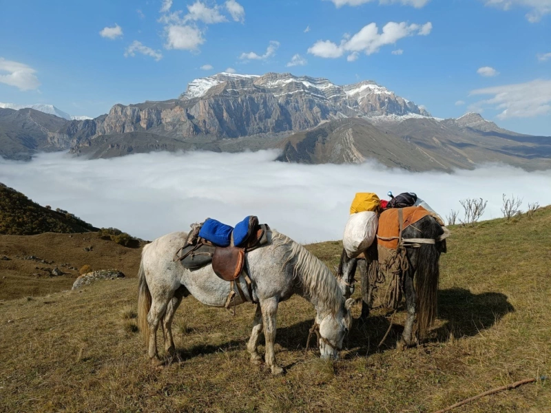 Azərbaycan: Qafqazın Şərqində Atlı Tur