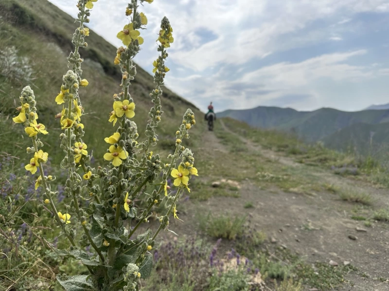 Azerbaijan: Horseback Riding Tour in the Caucasus Mountains}