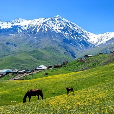 Bloq / Outdoor yazılar