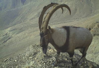 Bloq / Milli Parklar və Qoruqlar