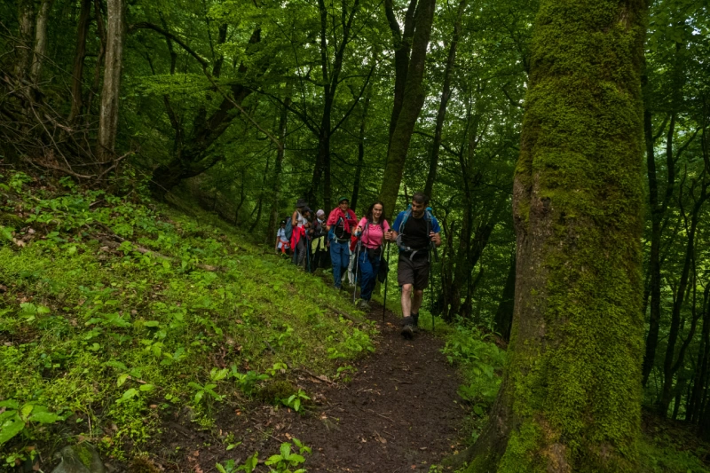 Mistik Hirkan Hiking Turu