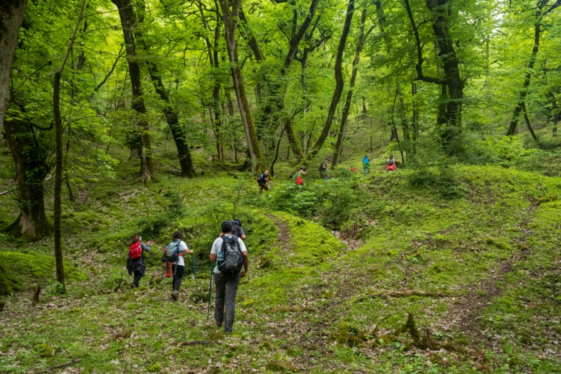 Mistik Hirkan Hiking Turu
