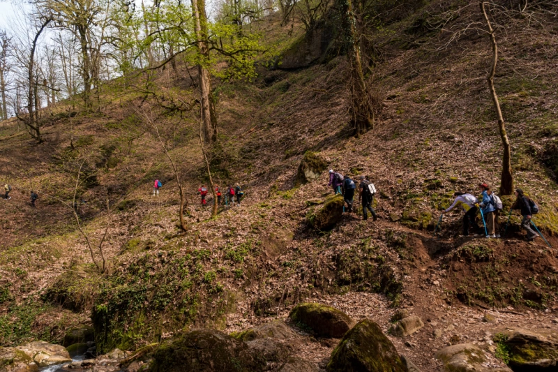 Mistik Hirkan Hiking Turu