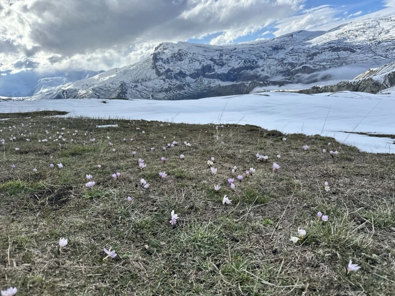 Ağ Gədik Zirvə Turu
